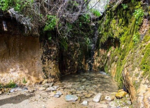 The spring «Tamshybulak»