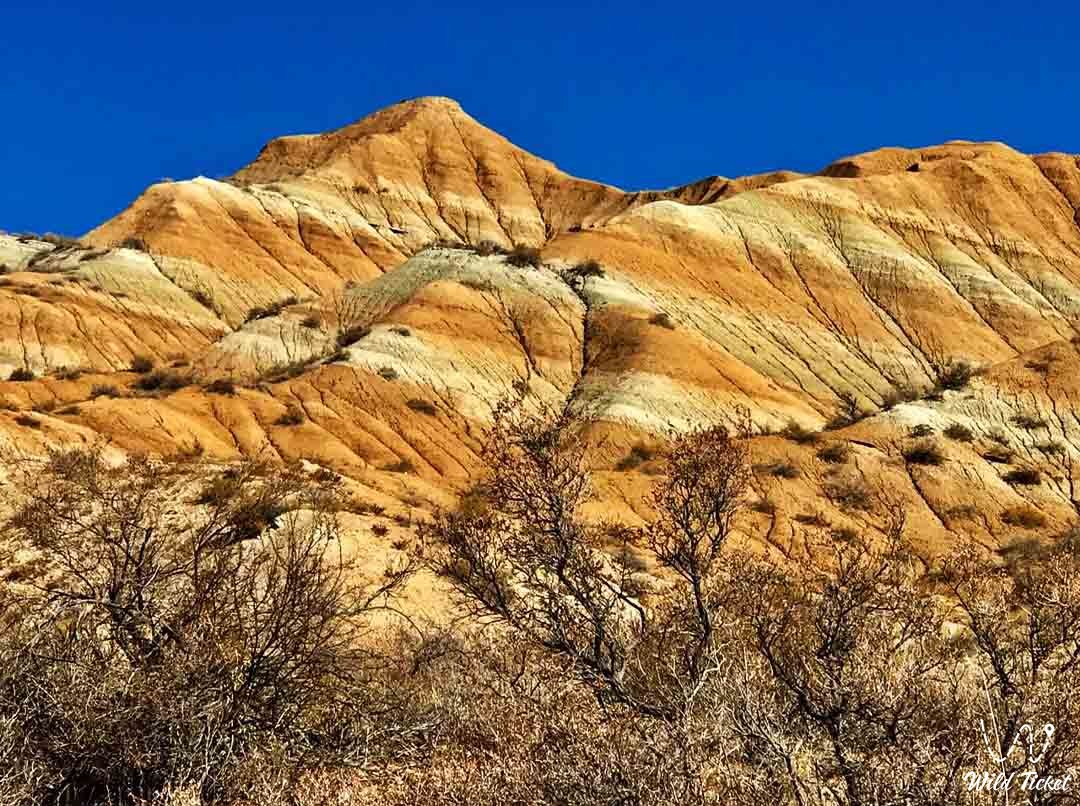 Dolantau (Tiger Mountains)